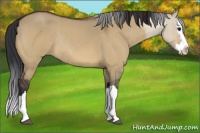 Horse Color:Bay Roan Dun Splash Rabicano