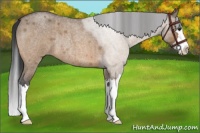 Horse Color:Bay Roan Dun Splash Rabicano Brindle