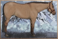 Horse Color:Bay Roan Dun Rabicano Brindle 