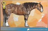 Horse Color:Buckskin Sabino and Bay