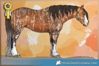 Horse Color:Buckskin Sabino and Bay