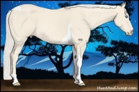 Horse Color:Cremello Tobiano