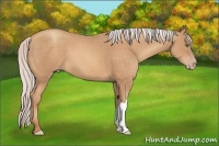 Horse Color:Silver Sable Champagne 