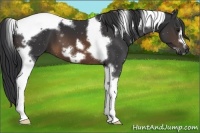 Horse Color:Brown Tobiano Frame 
