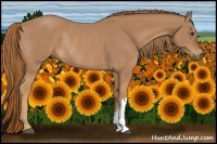 Horse Color:Chestnut Rabicano 