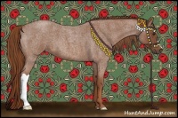 Horse Color:Red Roan 