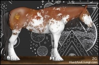 Horse Color:Bay Sabino Rabicano