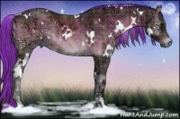 Horse Color:Painted Plaid  White Spotted Buckskin Ice Onyx Sabino 