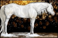 Horse Color:White Spotted Liver Chestnut Ice Pearl Sabino Splash
