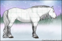 Horse Color:Plaid  White Spotted Silver Brown Chinchilla Ice Dun Sabino 