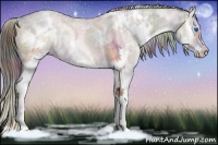 Horse Color:Nacre White Spotted Brown Dun Splash Rabicano