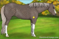 Horse Color:Silver Black 