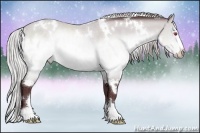 Horse Color:White Spotted Chocolate Silver Brown Chinchilla Sabino Rabicano