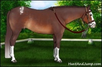 Horse Color:Chocolate Brown Splash Varnish Rabicano 