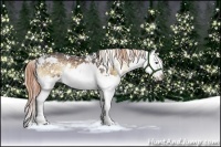 Horse Color:Liver Red Onyx Ice Sabino Splash