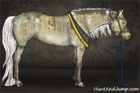 Horse Color:White Spotted Liver Red Dun 