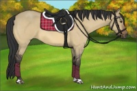 Horse Color:Buckskin Roan Dun 