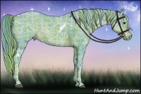 Horse Color:Watercolor Plaid  White Spotted Chocolate Palomino Ice Rabicano 