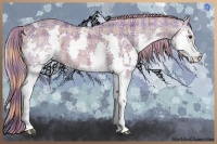 Horse Color:Watercolor Plaid  White Spotted Liver Chestnut Ice Splash Rabicano 