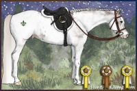Horse Color:White Spotted Silver Black Appaloosa