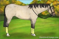 Horse Color:Buckskin Roan Dun 