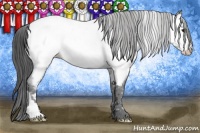 Horse Color:Smoky Black Ice Near Fewspot 