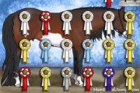 Horse Color:Brown Frame 