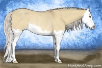 Horse Color:Silver Buckskin Roan Dun Splash Rabicano 