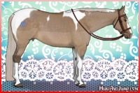 Horse Color:Silver Brown Dun Sabino Tobiano 