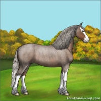 Horse Color:Silver Blue Roan Splash Rabicano 
