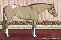 Horse Color:Liver Red Dun Appaloosa Rabicano Brindle