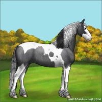 Horse Color:Blue Roan Splash Tobiano