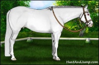 Horse Color:Silver Amber Cream Champagne Chinchilla Dun Sabino