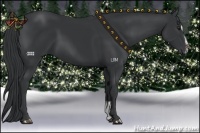 Horse Color:Black Chinchilla Sabino 