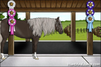 Horse Color:Gray Silver Smoky Black 