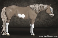 Horse Color:Silver Grullo Splash Frame 