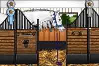 Horse Color:Smoky Black Splash Tobiano Appaloosa 