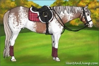 Horse Color:White Spotted Silver Brown Roan Appaloosa 