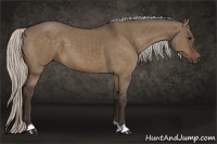 Horse Color:Silver Brown Dun 