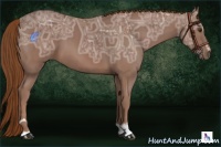 Horse Color:Chestnut Ice Sabino 