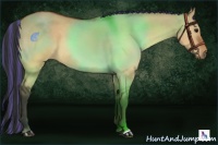 Horse Color:Painted Brown Dun 