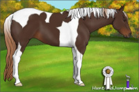 Horse Color:Gray Chestnut Tobiano