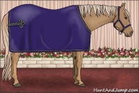 Horse Color:Palomino