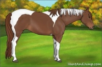 Horse Color:Chestnut Tobiano 