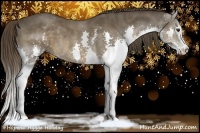 Horse Color:White Spotted Liver Chestnut Splash Rabicano