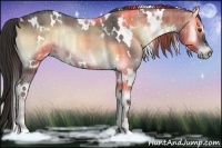 Horse Color:Plaid White Spotted Liver Red Onyx Rabicano
