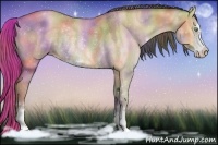 Horse Color:Nacre Amber Champagne Dun Sabino Rabicano