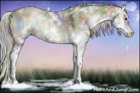 Horse Color:Nacre Silver Brown Onyx Sabino Rabicano