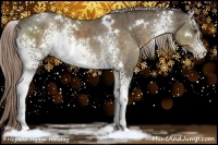 Horse Color:White Spotted Chocolate Palomino 