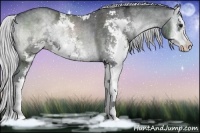 Horse Color:Silver Blue Onyx Chinchilla Ice Sabino Brindle